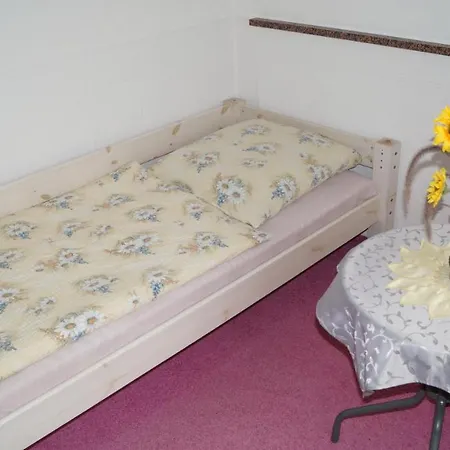 Gaestehaus Schatz In *