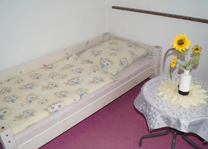 Gaestehaus Schatz In *